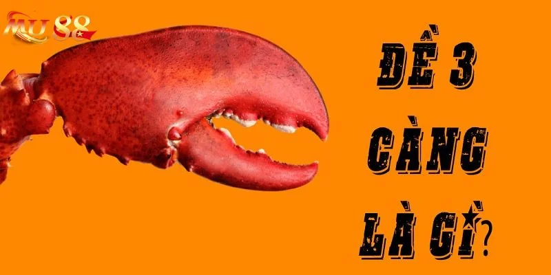 Tìm hiểu về phương pháp chơi 3 càng lô là thông tin được rất nhiều lô thủ quan tâm.