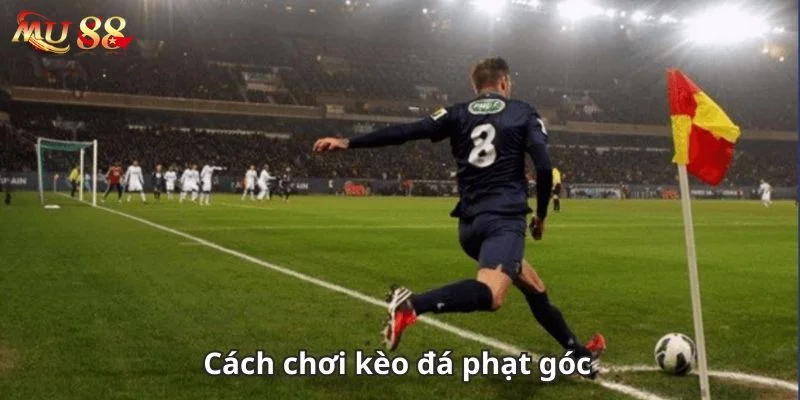 Chơi Kèo Phạt Góc Cần Nắm Bắt Gì? Mẹo Cược Từ Mu88 4 Cá cược với kèo phạt góc muốn thắng cần có kinh nghiệm chơi khôn ngoan.