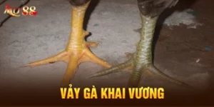 Vảy Gà Khai Vương: Cập Nhật Kiến Thức Đá Gà Mới 2025