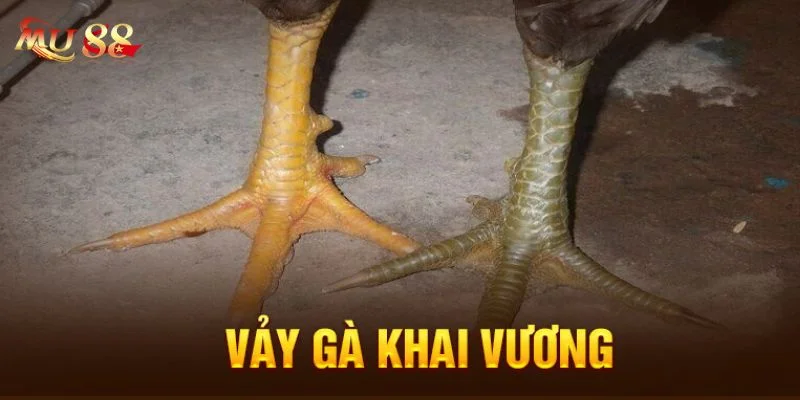 Vảy Gà Khai Vương: Cập Nhật Kiến Thức Đá Gà Mới 2025
